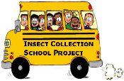 An insect collection school project school bus