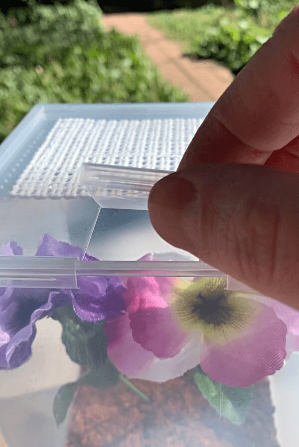 A Mantis Habitat for Growing a Mantis