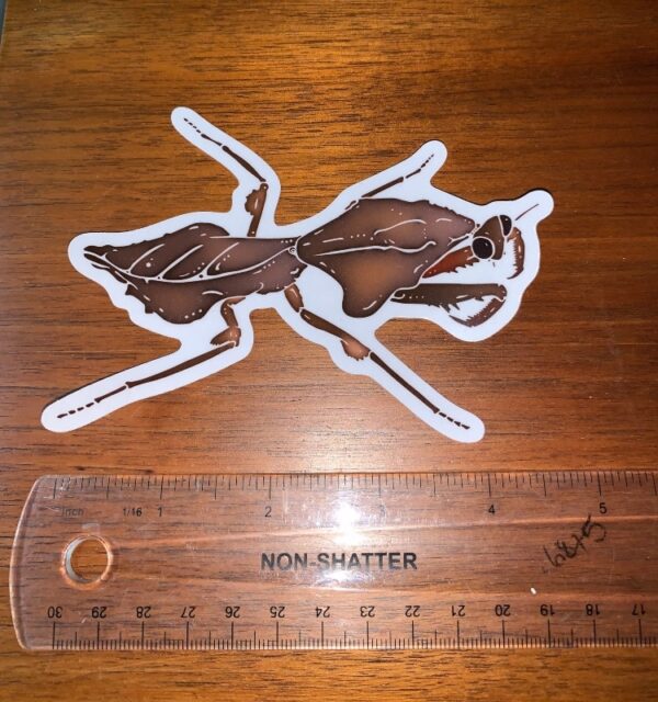 A Sticker Dead Leaf Mantis with a brown ant on it.