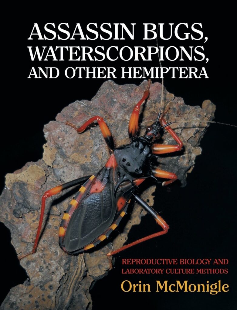 Assassin Bugs, Waterscorpions, and Other Hemiptera (Hardcover) - Bugs ...