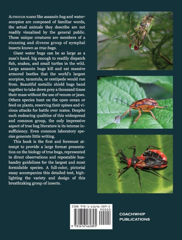 The back cover of "Assassin Bugs, Waterscorpions, and Other Hemiptera" (Hardcover).