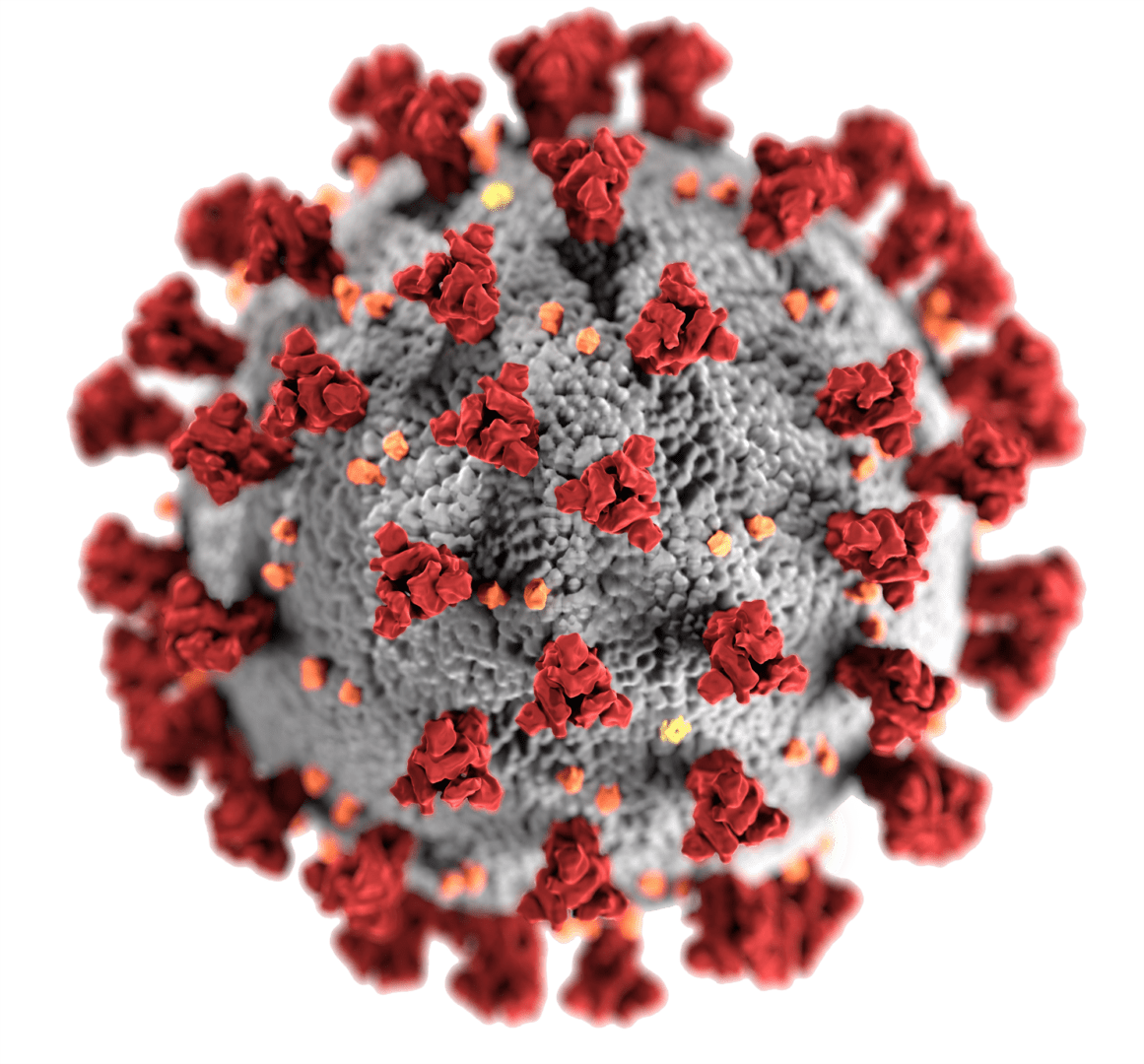 A red coronavirus on a green background, surrounded by bugs in cyberspace.
