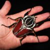 A person's hand holding a red Goliath Beetle Larva.