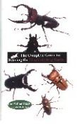 Stag Beetle Care Guide book - a guide to the world's beetles.