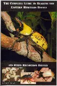The Rhinoceros Beetle Care Guide: The complete guide to reading a beetle.