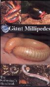 The cover of the Millipede Care Guide Book.