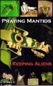 Pet Mantis Book keeping aliens.