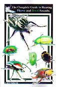 Flower & Jewel Scarab Beetles Care Guide Book