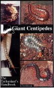 A cover page of Centipede Care Guide Book