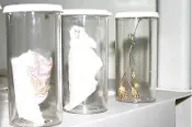 Plastic Insect Veils in glass bottles with lid