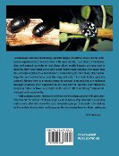 The back cover of "For the Love of Cockroaches" with a picture of a beetle on a branch.