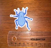 A Blue Color Beetle Sticker on a Desk