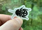 A person holding a Sticker Question Mark Cockroach.