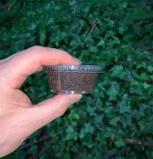 A person holding a cup of sand in front of bushes, showcasing the use of Bug Substrate Composite.