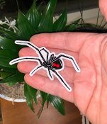 A person holding a Sticker Black Widow Spider in front of a potted plant.