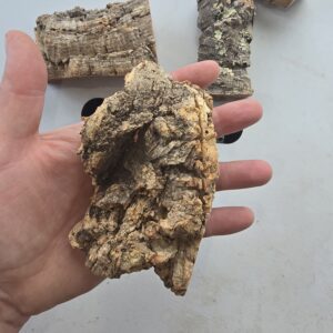 Cork Bark