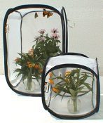 Small white cube net mesh cage for butterflies