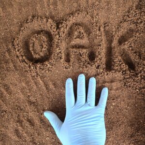 Oak Flake Soil Beetles Millipedes Isopods
