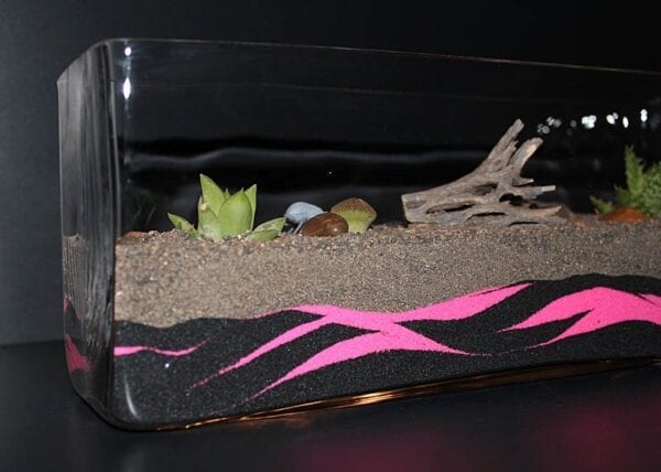 A Pink Zebra Terrarium with pink sand and succulents in it.
