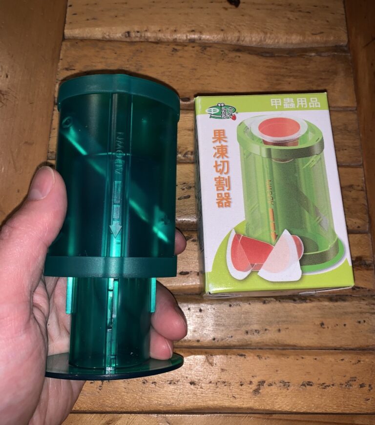 Beetle Jelly Cutter Bugs In Cyberspace