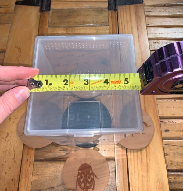 A person holding a measuring tape next to a Pet Bug Cage.