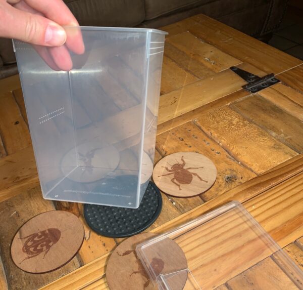 A person is holding a Pet Bug Cage on a table.