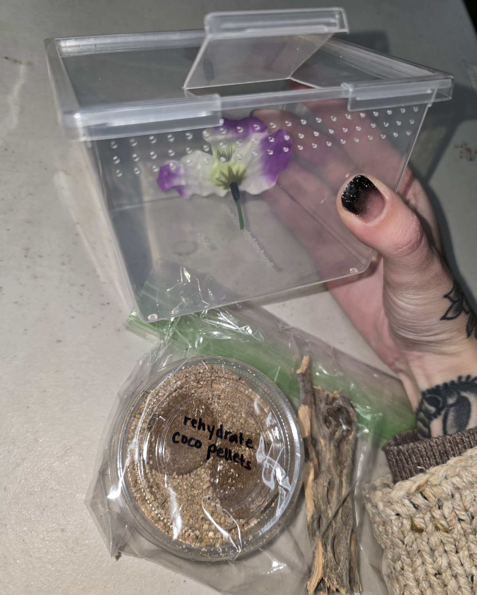 Medium Pet Spider Habitat Kit - Bugs In Cyberspace