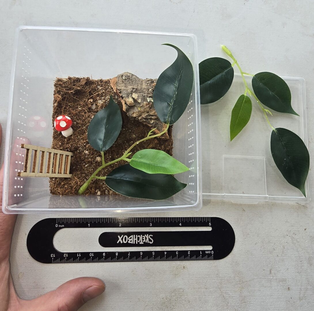 Medium Pet Spider Habitat Kit - Image 2