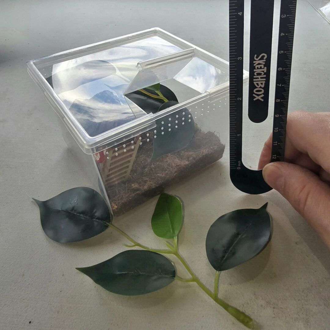Medium Pet Spider Habitat Kit - Image 3