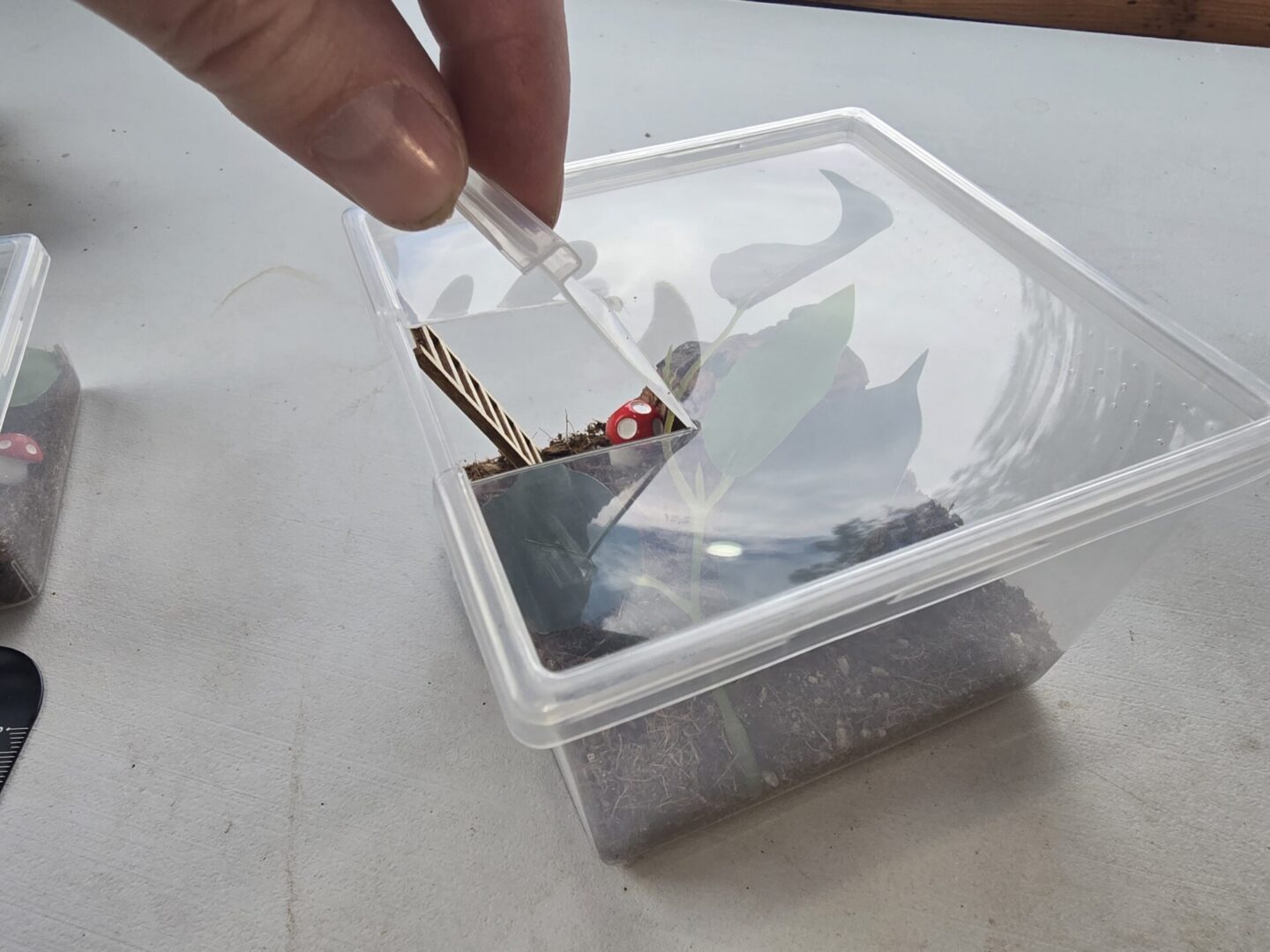 Medium Pet Spider Habitat Kit - Image 4