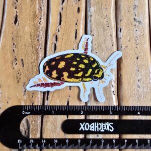 Sticker Sunburst Diving Beetle Thermonectus marmoratus