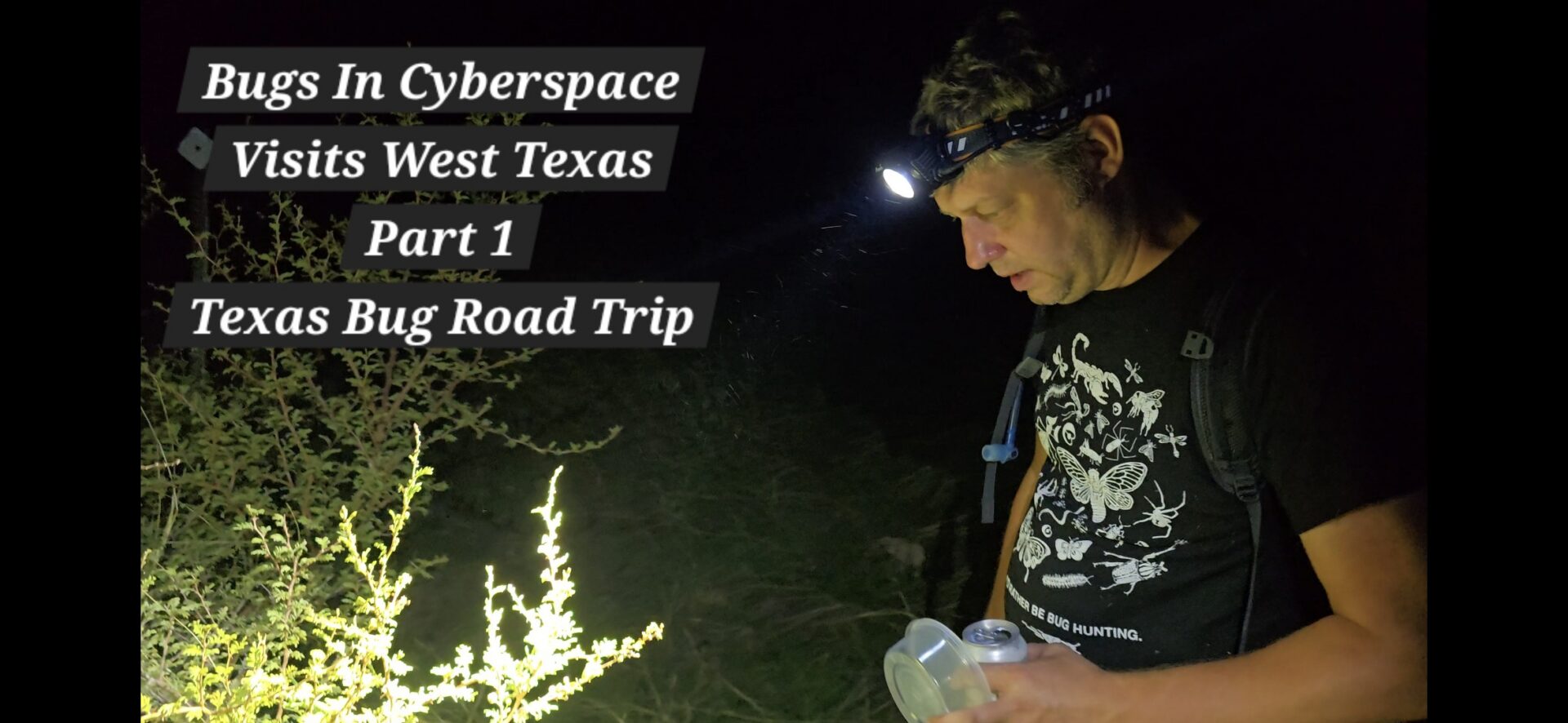 West Texas Bug Road Trip